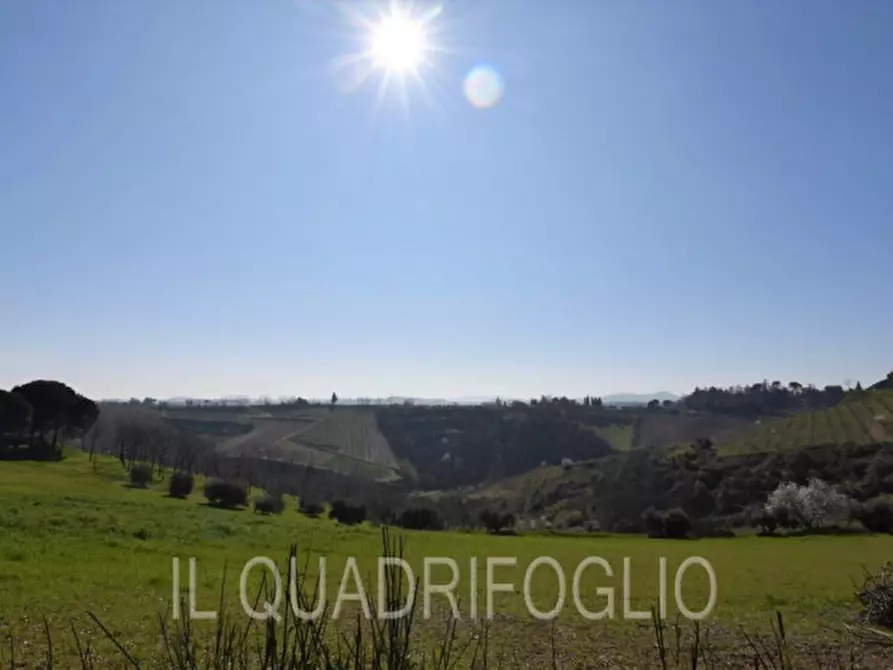 Immagine 44 di Villa in vendita  in Via Madonna dell'Olivo a Cesena