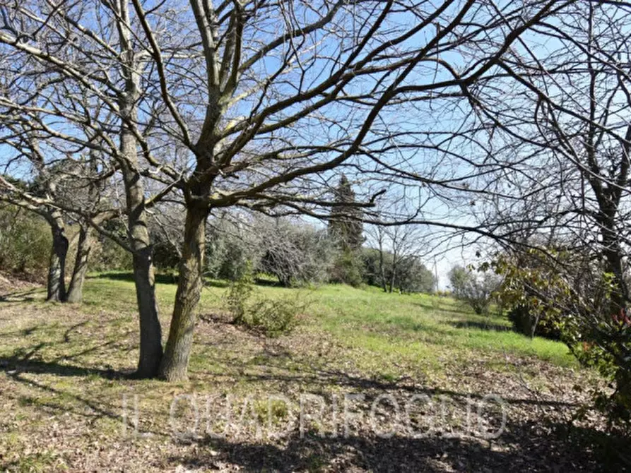 Immagine 45 di Villa in vendita  in Via Madonna dell'Olivo a Cesena