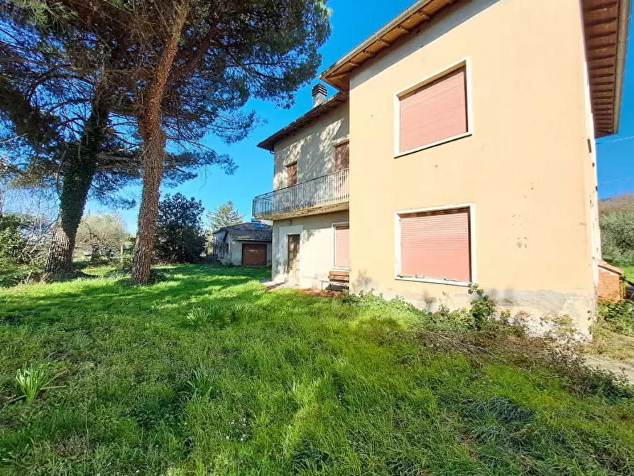 Immagine 3 di Casa indipendente in vendita  in Via Perugina a Passignano Sul Trasimeno