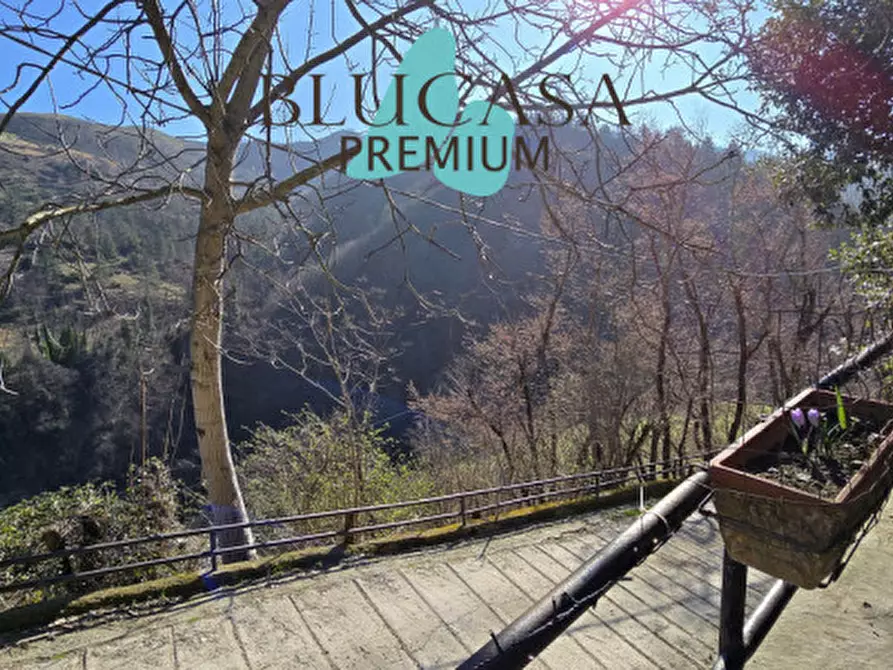 Immagine 2 di Casa indipendente in vendita  in Viale Roma a Civitella Di Romagna