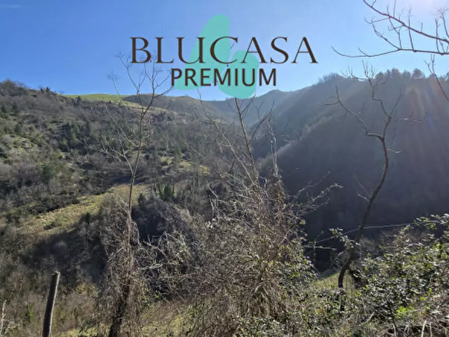 Immagine 6 di Casa indipendente in vendita  in Viale Roma a Civitella Di Romagna