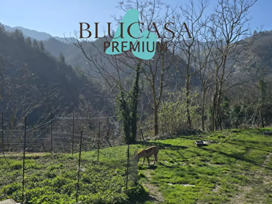 Immagine 19 di Casa indipendente in vendita  in Viale Roma a Civitella Di Romagna