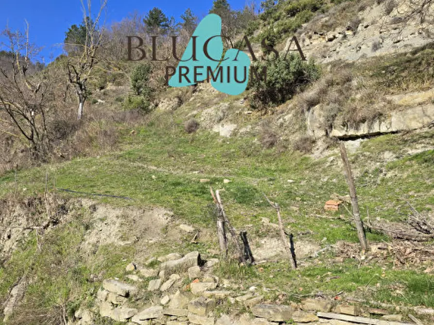 Immagine 21 di Casa indipendente in vendita  in Viale Roma a Civitella Di Romagna