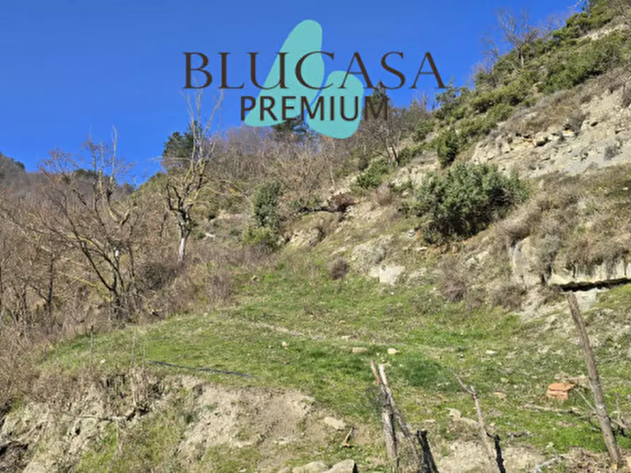 Immagine 22 di Casa indipendente in vendita  in Viale Roma a Civitella Di Romagna