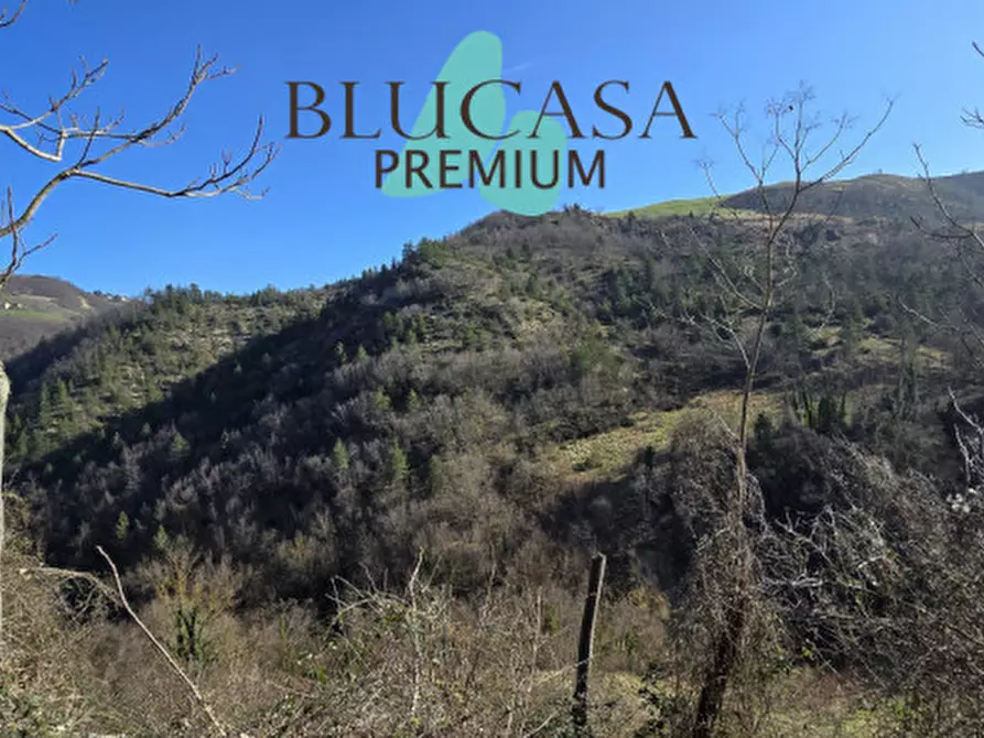 Immagine 32 di Casa indipendente in vendita  in Viale Roma a Civitella Di Romagna