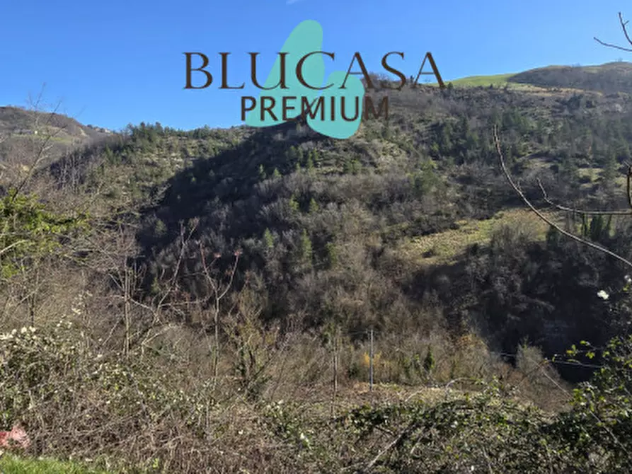 Immagine 35 di Casa indipendente in vendita  in Viale Roma a Civitella Di Romagna