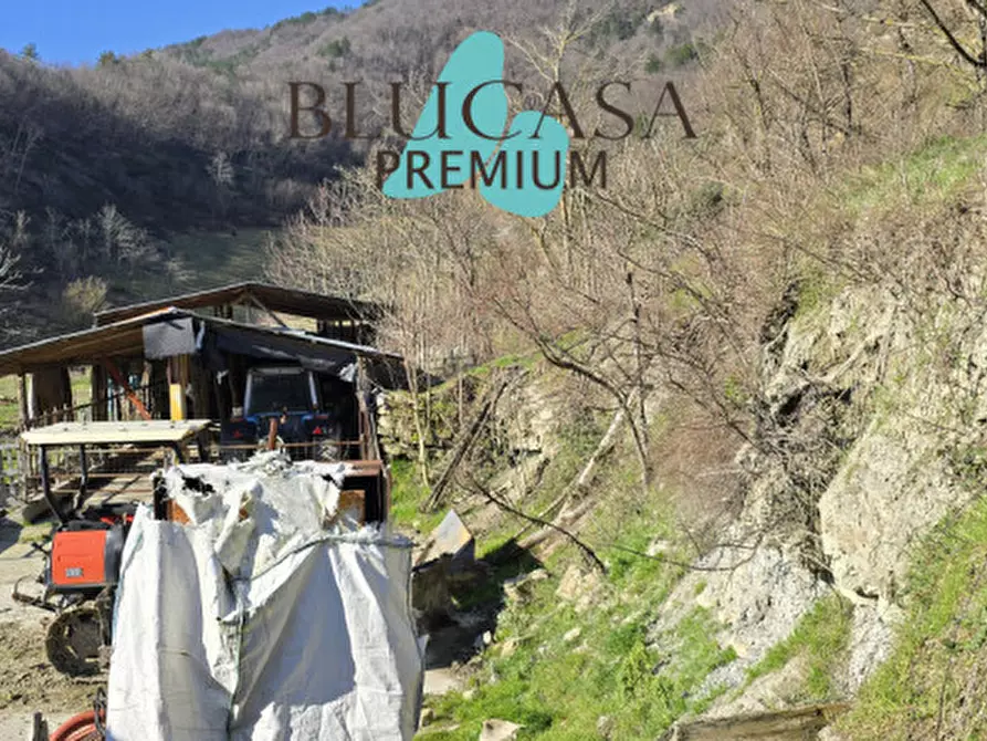 Immagine 36 di Casa indipendente in vendita  in Viale Roma a Civitella Di Romagna