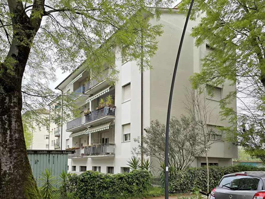 Immagine 2 di Appartamento in vendita  a Treviso