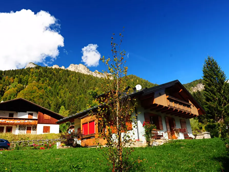 Immagine 3 di Villa in vendita  in Via Valle Ansiei,sn a Auronzo Di Cadore