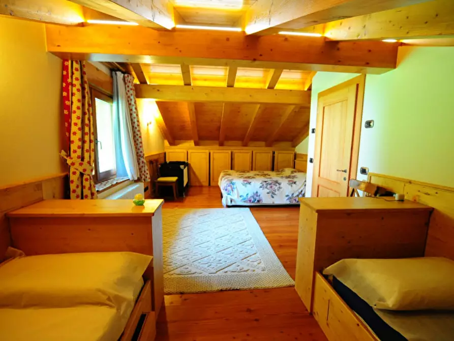 Immagine 13 di Villa in vendita  in Via Valle Ansiei,sn a Auronzo Di Cadore