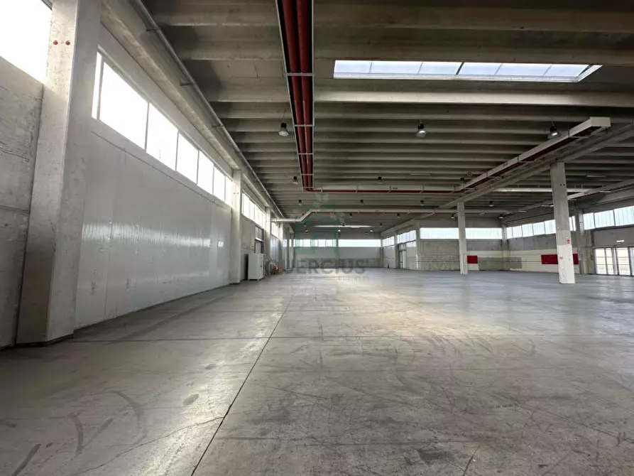 Immagine 2 di Capannone industriale in affitto  in Strada Nuova Padovana a Arcole