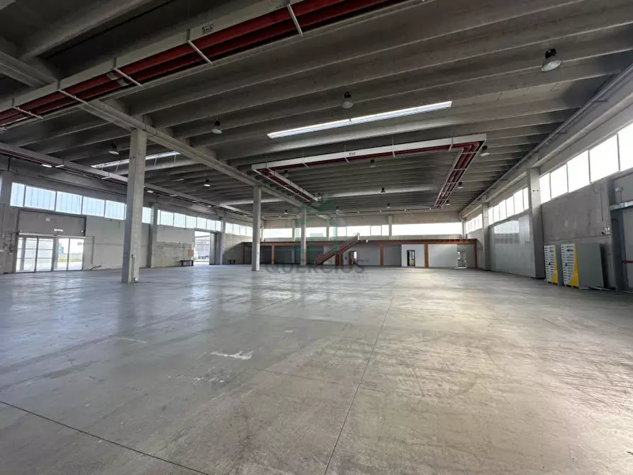 Immagine 6 di Capannone industriale in affitto  in Strada Nuova Padovana a Arcole