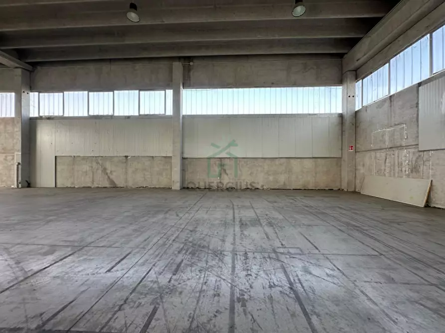 Immagine 11 di Capannone industriale in affitto  in Strada Nuova Padovana a Arcole