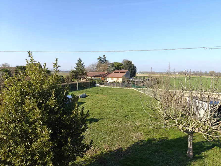 Immagine 4 di Casa indipendente in vendita  a Rovigo