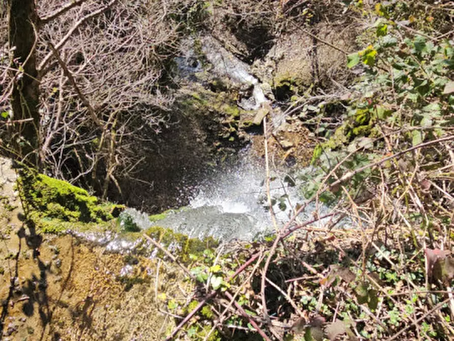 Immagine 9 di Rustico / casale in vendita  in Loc Veraghi a Fumane