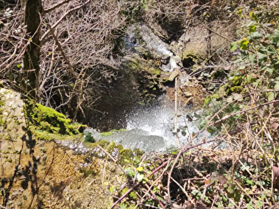 Immagine 48 di Rustico / casale in vendita  in Loc Veraghi a Fumane