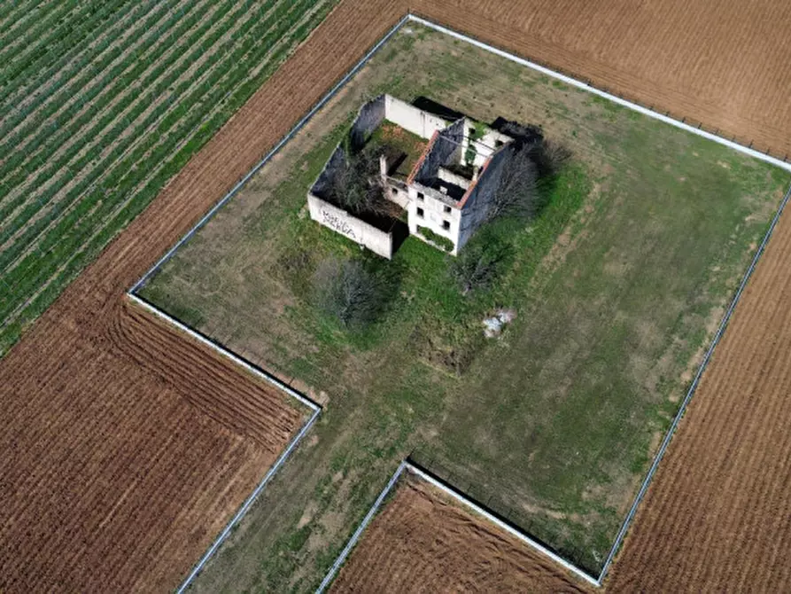 Immagine 7 di Rustico / casale in vendita  in LOCALITA CHIALBERINO a Bussolengo