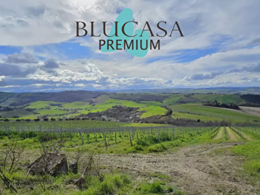 Immagine 23 di Casa indipendente in vendita  in Via Polenta nuova a Bertinoro