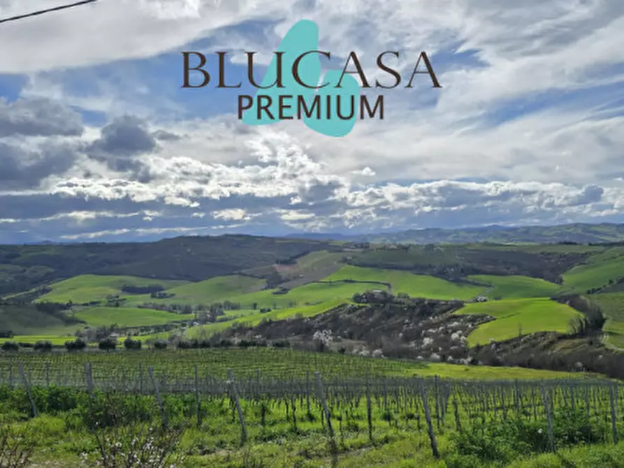 Immagine 24 di Casa indipendente in vendita  in Via Polenta nuova a Bertinoro