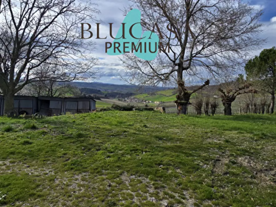 Immagine 34 di Casa indipendente in vendita  in Via Polenta nuova a Bertinoro