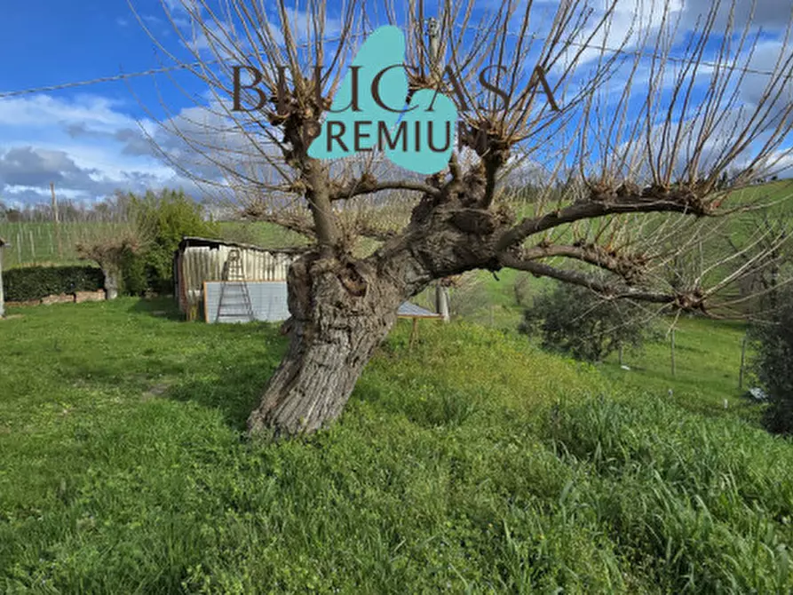 Immagine 35 di Casa indipendente in vendita  in Via Polenta nuova a Bertinoro