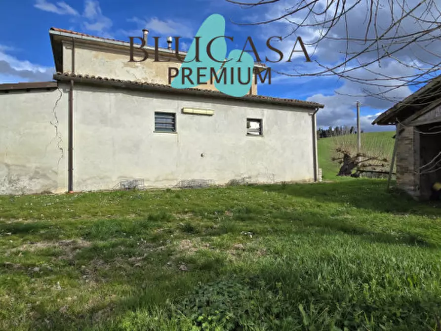 Immagine 36 di Casa indipendente in vendita  in Via Polenta nuova a Bertinoro