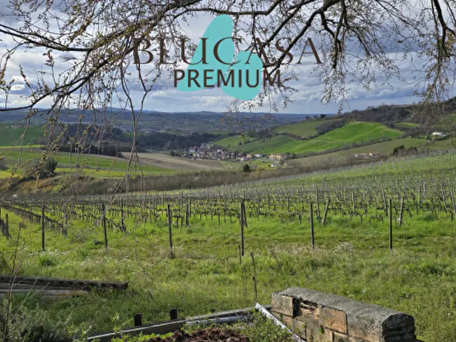 Immagine 38 di Casa indipendente in vendita  in Via Polenta nuova a Bertinoro