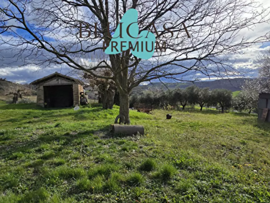 Immagine 39 di Casa indipendente in vendita  in Via Polenta nuova a Bertinoro