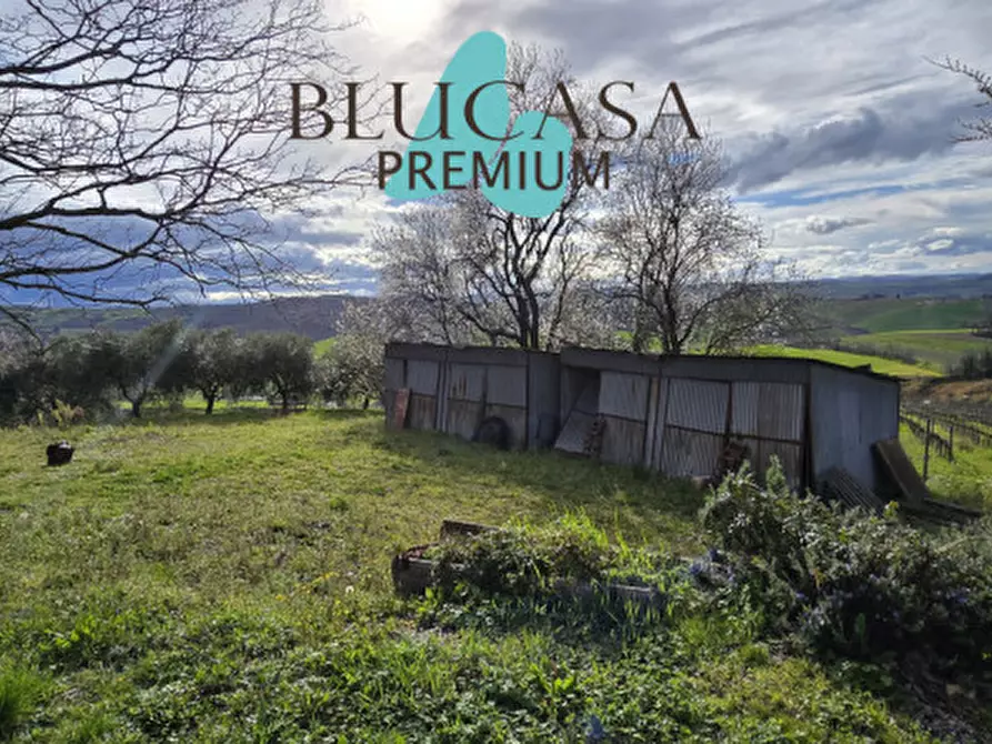 Immagine 40 di Casa indipendente in vendita  in Via Polenta nuova a Bertinoro