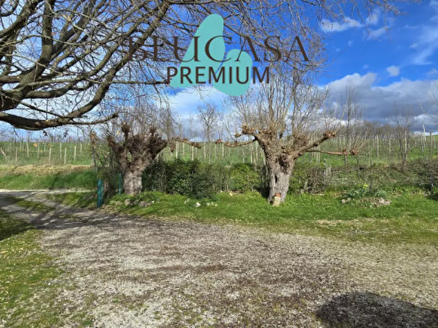 Immagine 42 di Casa indipendente in vendita  in Via Polenta nuova a Bertinoro