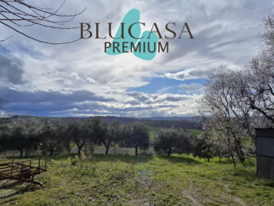 Immagine 43 di Casa indipendente in vendita  in Via Polenta nuova a Bertinoro