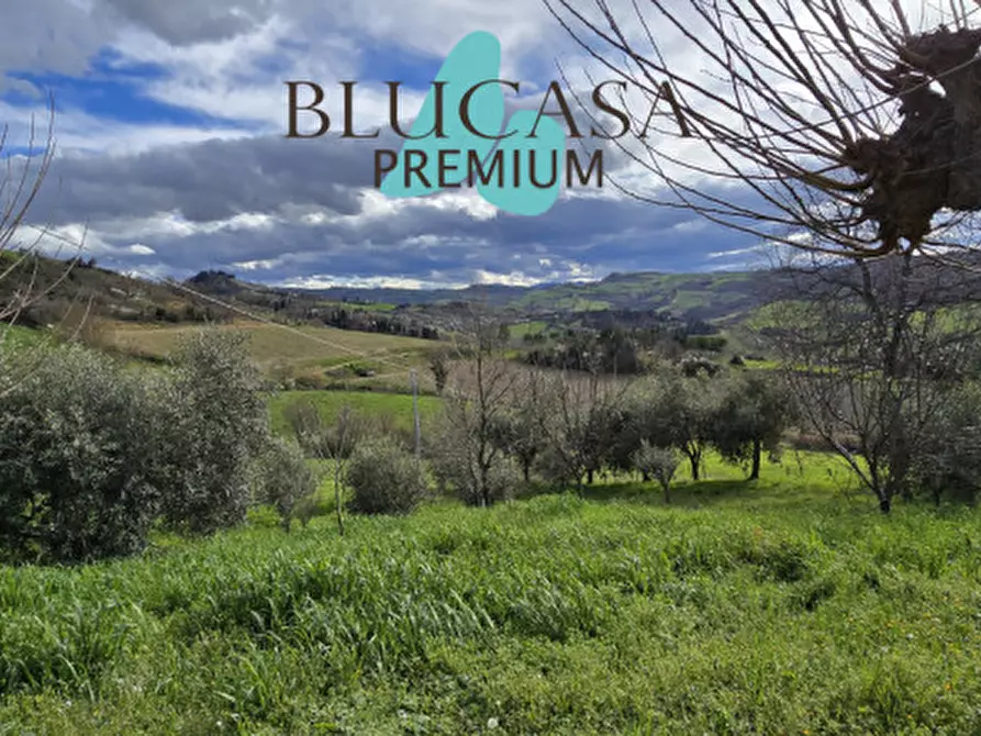 Immagine 44 di Casa indipendente in vendita  in Via Polenta nuova a Bertinoro