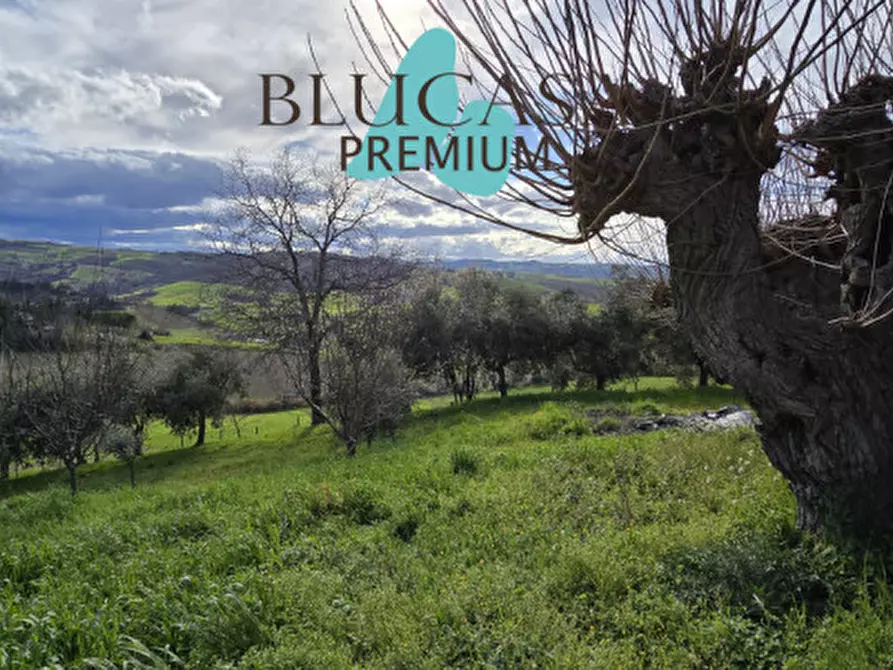 Immagine 45 di Casa indipendente in vendita  in Via Polenta nuova a Bertinoro