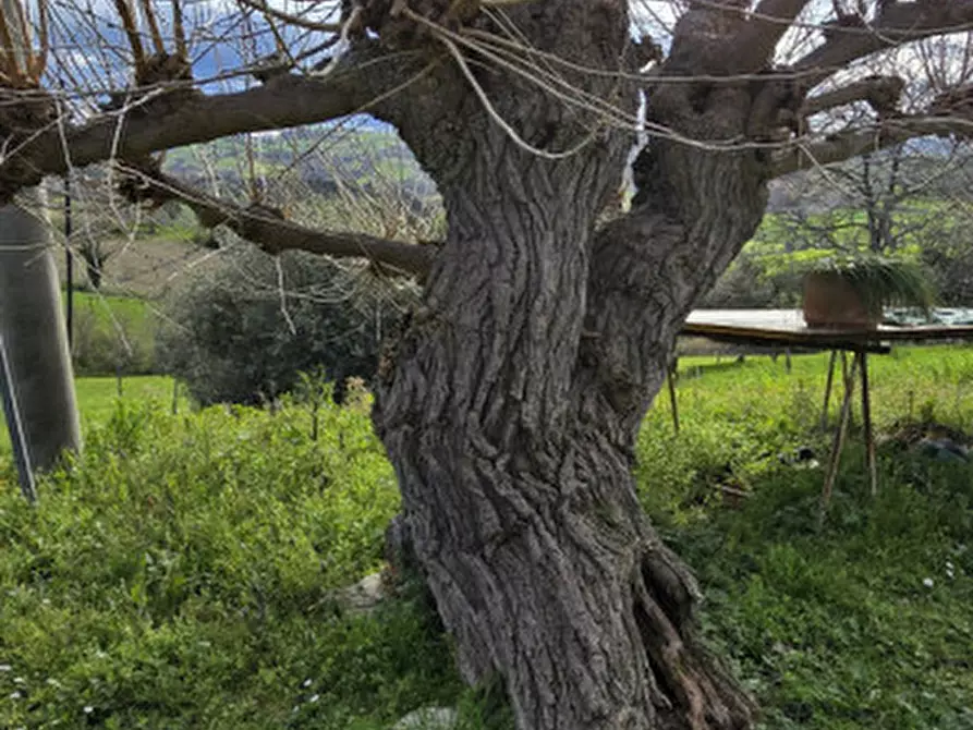 Immagine 46 di Casa indipendente in vendita  in Via Polenta nuova a Bertinoro