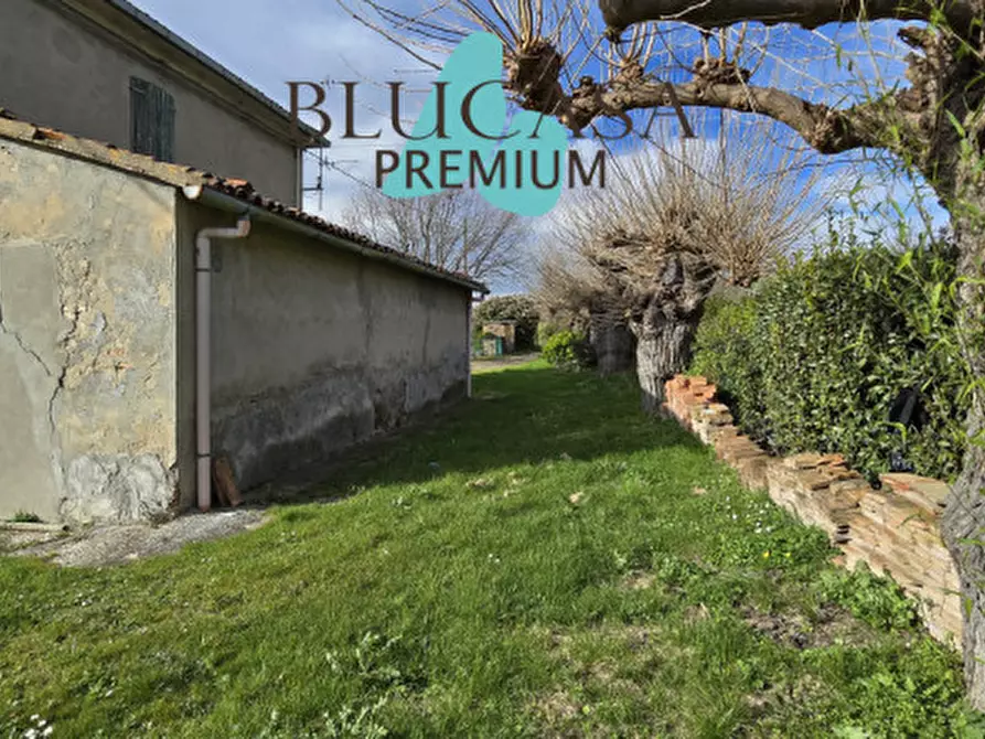 Immagine 48 di Casa indipendente in vendita  in Via Polenta nuova a Bertinoro