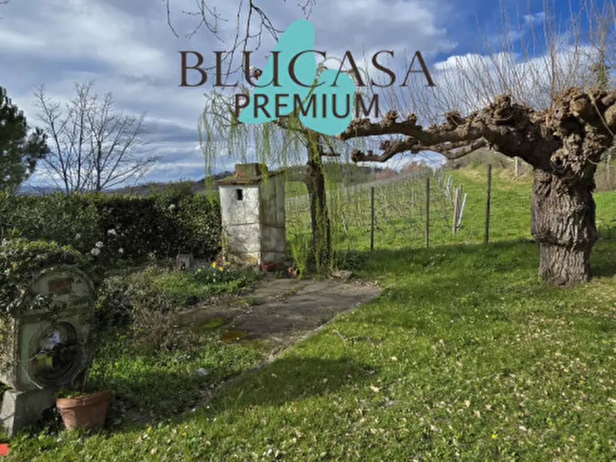 Immagine 50 di Casa indipendente in vendita  in Via Polenta nuova a Bertinoro