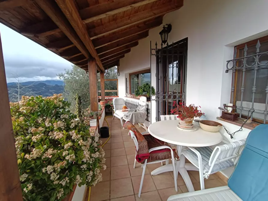 Immagine 1 di Villa in vendita  in Vallebona a Vallebona