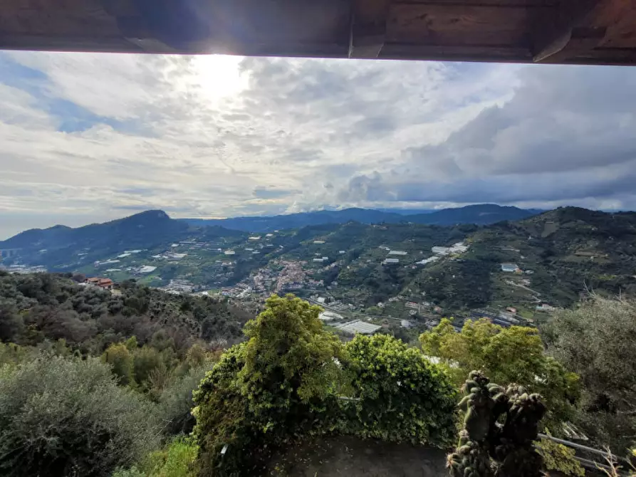 Immagine 3 di Villa in vendita  in Vallebona a Vallebona