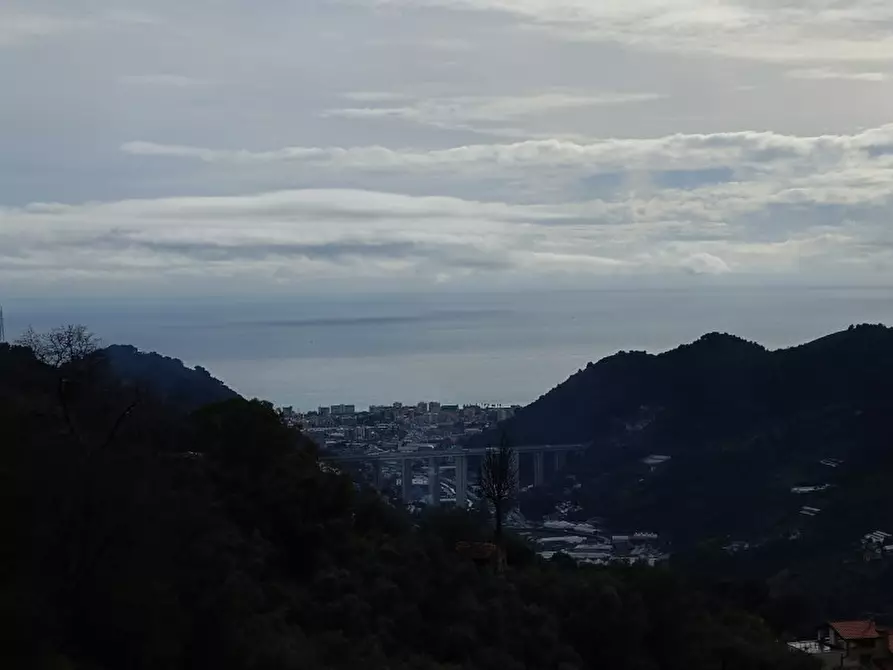 Immagine 15 di Villa in vendita  in Vallebona a Vallebona