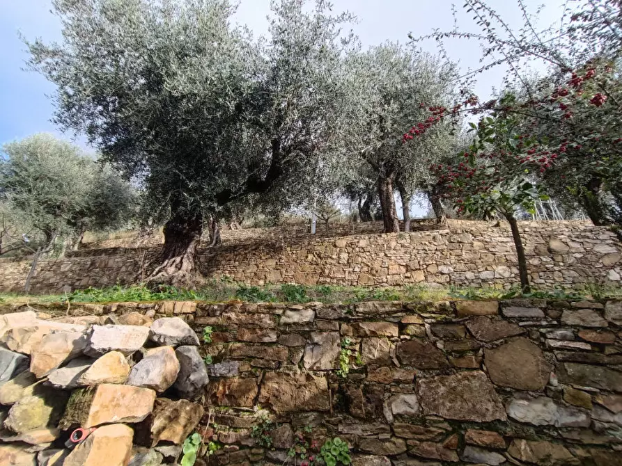 Immagine 24 di Villa in vendita  in Vallebona a Vallebona