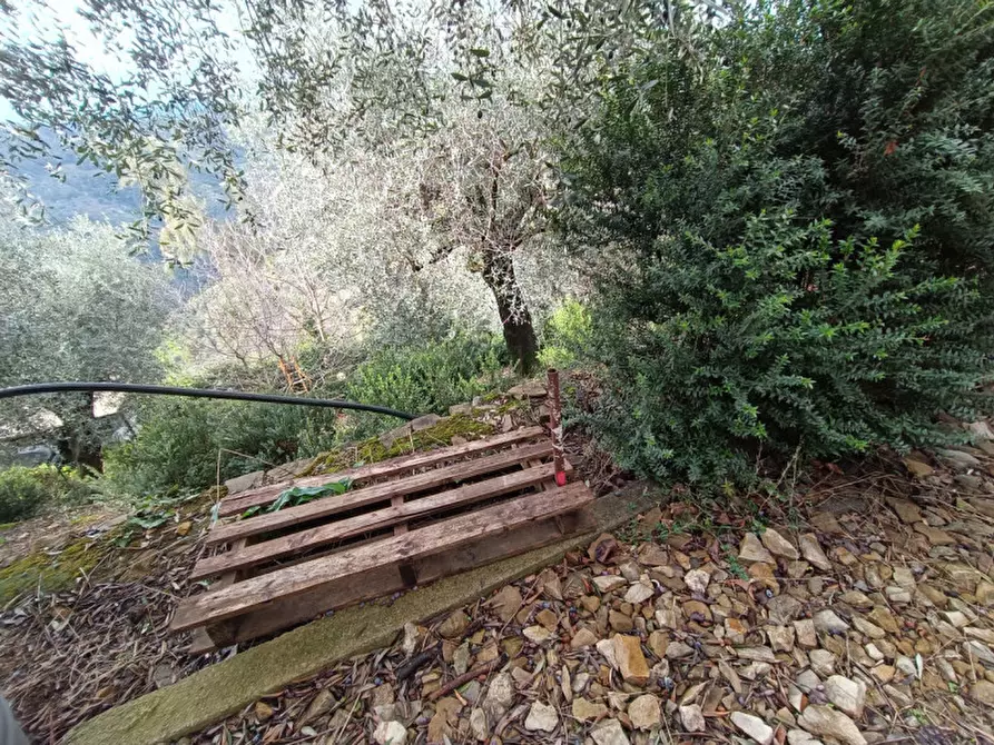 Immagine 25 di Villa in vendita  in Vallebona a Vallebona