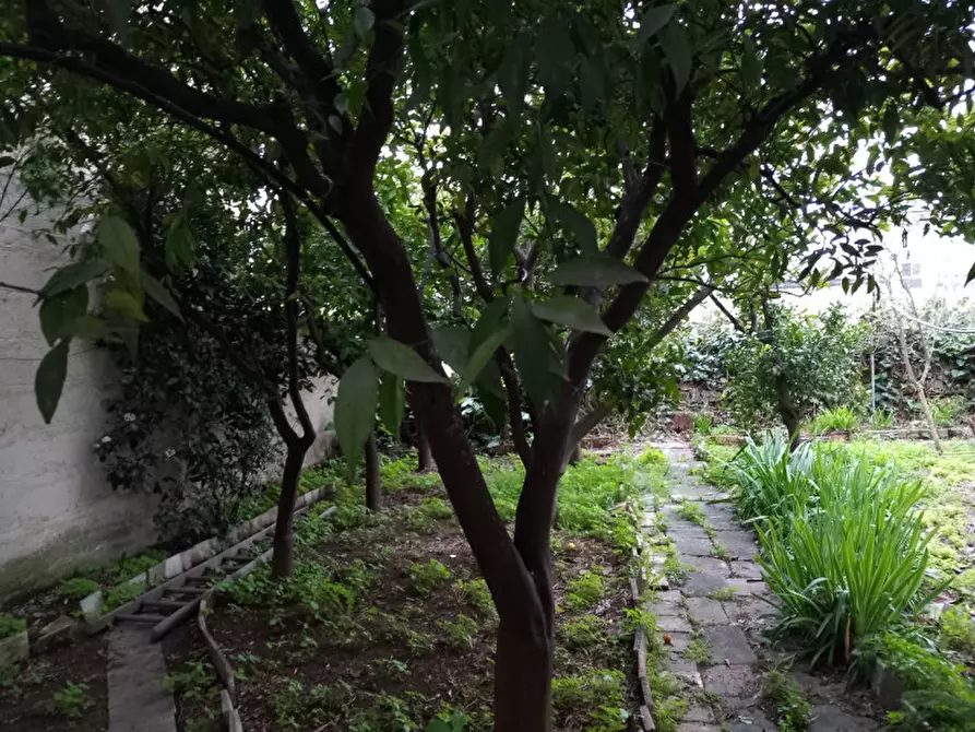 Immagine 4 di Casa indipendente in vendita  in Centro a Montemesola