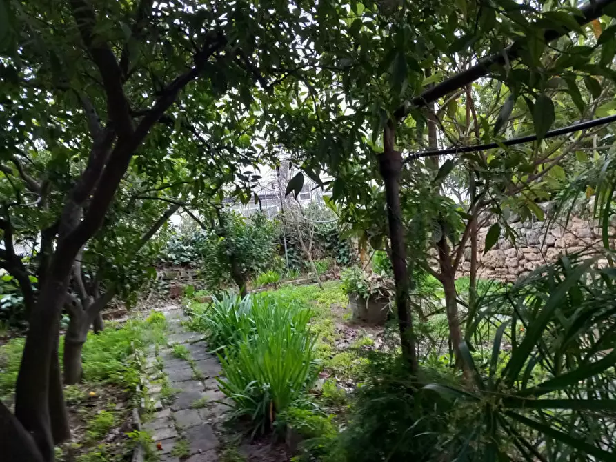 Immagine 5 di Casa indipendente in vendita  in Centro a Montemesola