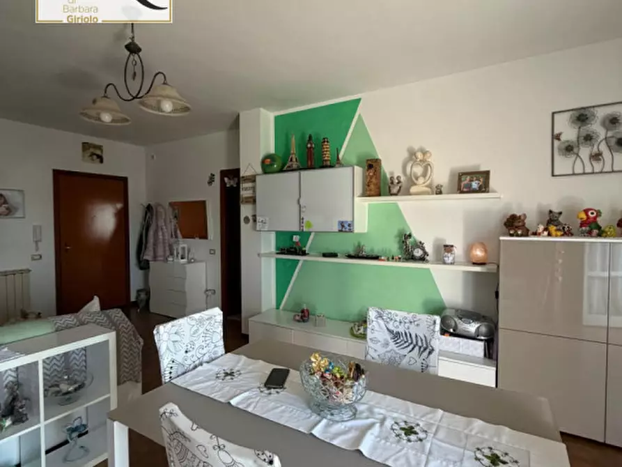 Immagine 4 di Appartamento in vendita  a Trecenta