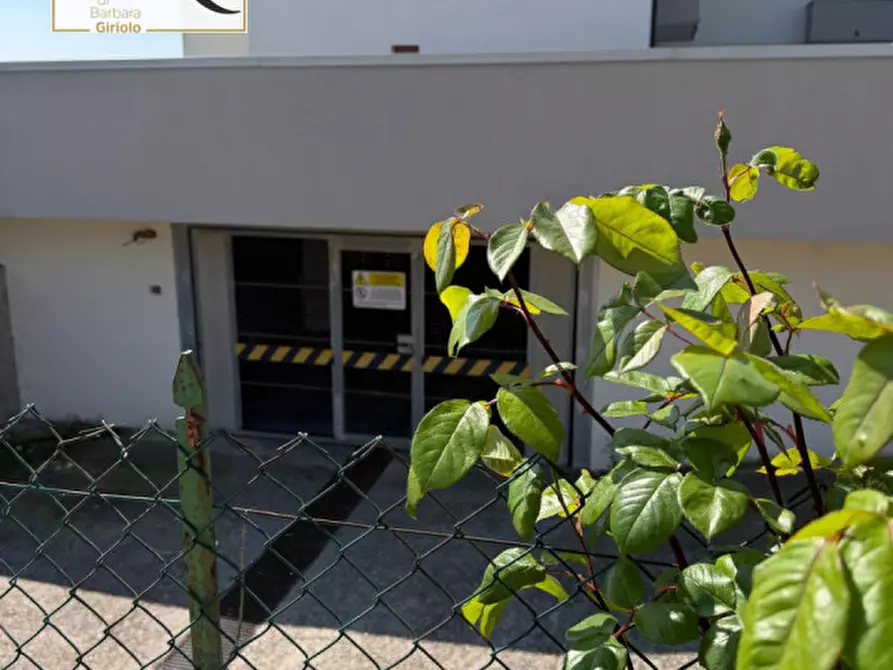 Immagine 14 di Appartamento in vendita  a Trecenta