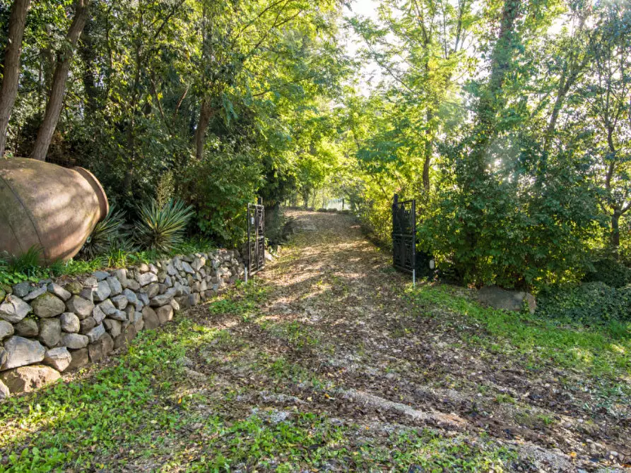 Immagine 3 di Villa in vendita  in Via Murale a Baone