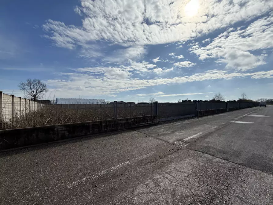 Immagine 2 di Terreno in vendita  in via del Commercio a Villa Bartolomea