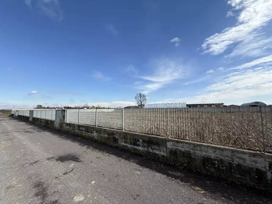 Immagine 3 di Terreno in vendita  in via del Commercio a Villa Bartolomea