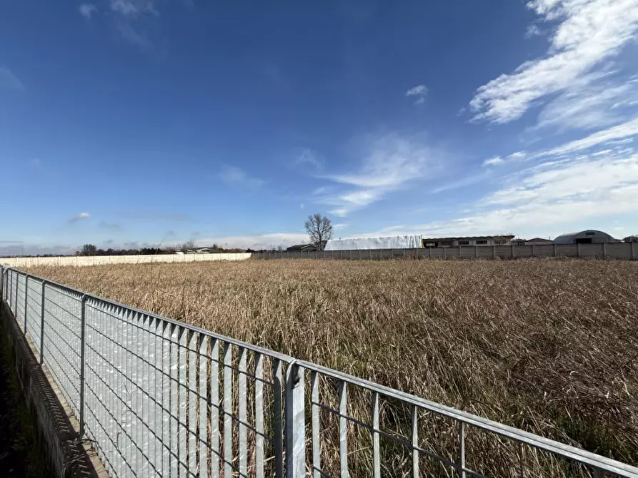 Immagine 4 di Terreno in vendita  in via del Commercio a Villa Bartolomea