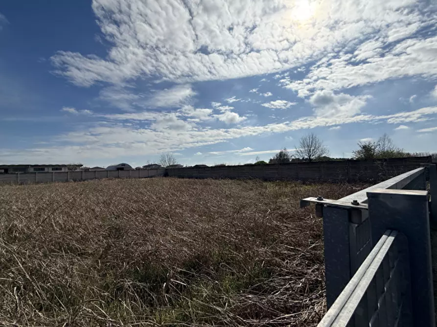 Immagine 5 di Terreno in vendita  in via del Commercio a Villa Bartolomea